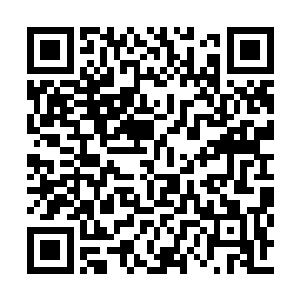 想想这猴精和金丝雀精……貌似也没什么问题啊二维码生成