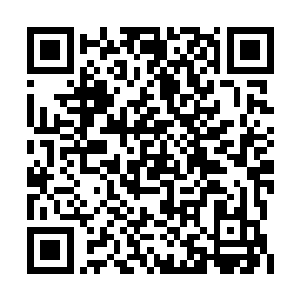想来人还没有等到或者他们已经在回来的途中了二维码生成