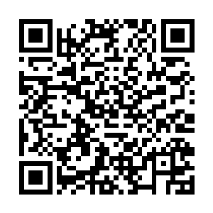 想来就是蔡合之前说的镜湖泥龙阵制造出来的效果了二维码生成