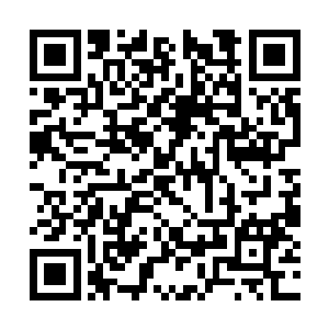 想来应该是那些在斗战台上和异兽对抗人类的名字二维码生成