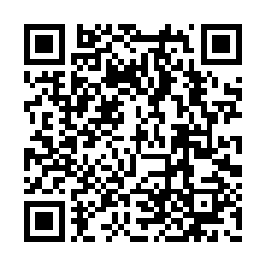 想来是她自己胡乱注射或者感染了某种生化病毒二维码生成