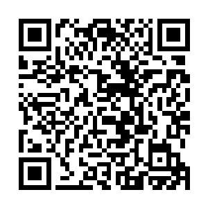 想来这也是那种以修为高低由北向南呈现阶梯分布的因由二维码生成