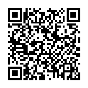 想看看只有一枚钥匙的新主人是否能打开通道大门二维码生成