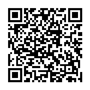 想看看我在这里练的成果究竟如何我想我不怕和谁竞争了二维码生成