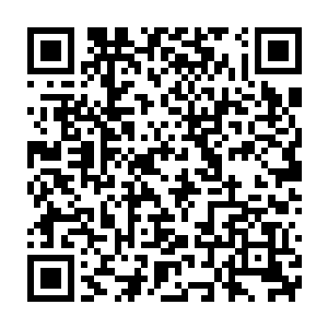 想看看陈易清在没了中单大虫子这个拿手英雄会选什么让人惊讶的英雄二维码生成