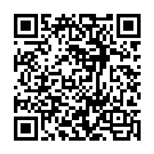 想着先前白苏在自己面前娇娇弱弱欲说还休的模样二维码生成