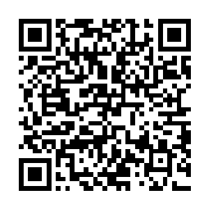 想着她娘不是博陵崔氏真正的小姐的事情外公只和她说了二维码生成