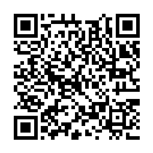 想着山努亚是如何调动它那巨大而笨拙的神经网络二维码生成