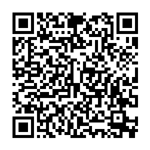 想着真的是那位在青云关给小王妃不声不响地下了禁锢之术的王意安二维码生成