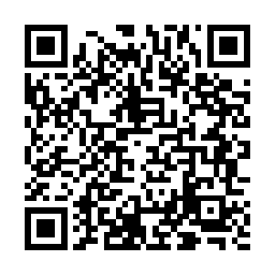 想着进入苗疆到现在几乎都没遇见什么太过危险的事情二维码生成