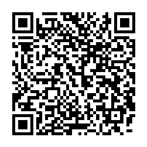 想着进这府里的时候他虽然与英亲王府的大管家试探知道秦铮不在二维码生成