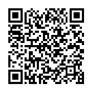 想着那家伙现在此时正在医院的病房里舒舒服服地睡着觉二维码生成