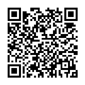 想知道一位圣人瞄在里面到底是在偷偷做什么事情二维码生成