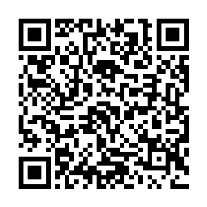 想要从这些人手中抢夺龙魂木牌……简直比登天还要困难的二维码生成
