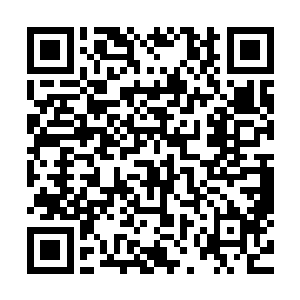 想要冲上去给老太太一巴掌让她睁大她的眼珠子好好的看一看二维码生成