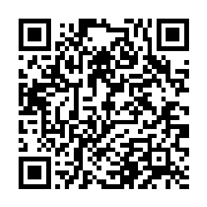 想要将这些无故要涌入自己体内的天地元气控制一下二维码生成