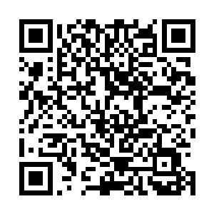 想要杀死拿马库斯盗贼团那些家伙的人头的赏金猎人也不少二维码生成