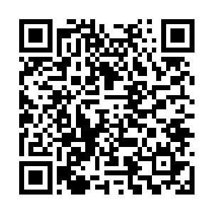 想要灭杀你这个五鼎三阶的小子简直就是轻而易举二维码生成