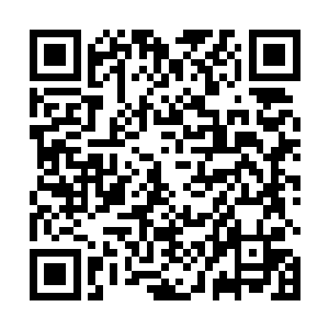 想要画些早就深印在他脑海中的草药外形却是得心应手二维码生成