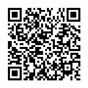 想要看看是什么人可以在大将军墓视自如随意行走二维码生成
