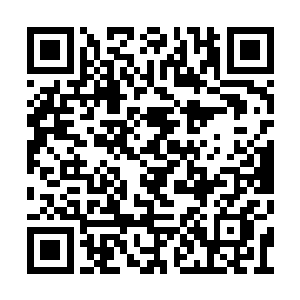 想要看看至尊三重天境界的嫣然是否能够感应出二维码生成