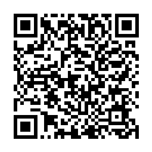 想要知道凤辰度过的关卡到底是不是有关于意识方面的二维码生成