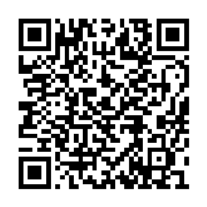 想要知道在圣级九层后期巅峰之上是否还有境界二维码生成