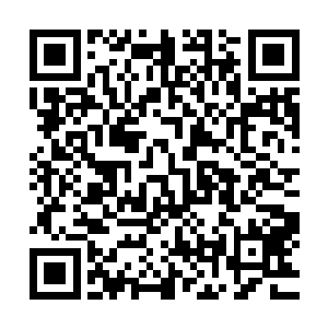 想要立刻拿出来给人知道的心情让许紫烟的心里不禁有些酸楚二维码生成