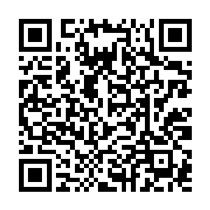 想要让灵蛙一族成为凌驾于死魂王族和亡魂族的势力二维码生成