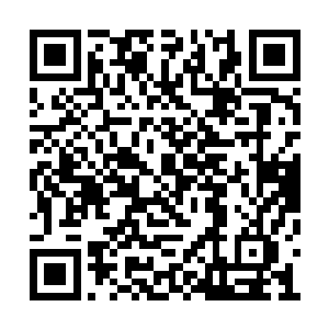 想要重伤甚至杀死天地宗宗主都是不可能的事情二维码生成