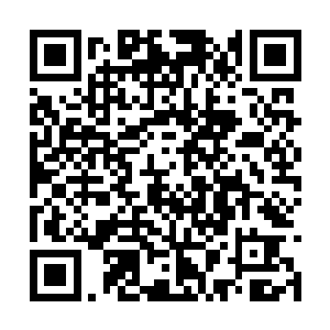 想要靠一个虚无缥缈的意外和可能让自己赢得生机二维码生成