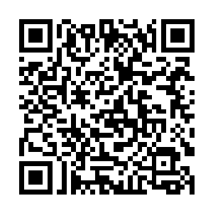 想见见陈天豹的这位堂姐究竟是个什么样的传奇女人二维码生成