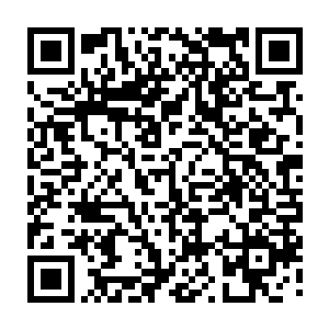 想起了自己前世在画中界时画仙陆玄讲的混鲲祖师和女娲娘娘打赌的故事二维码生成