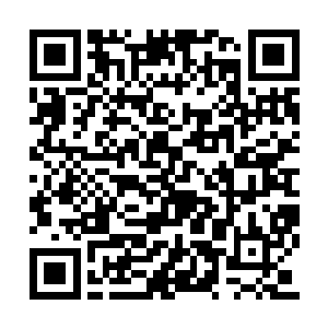 想起当初百里家族的那个大罗金仙修士曾经说过二维码生成