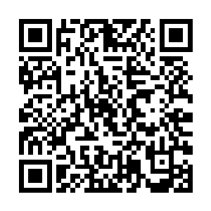 想起徐老头子把礼物递给自己的时候表情很有点怪异二维码生成
