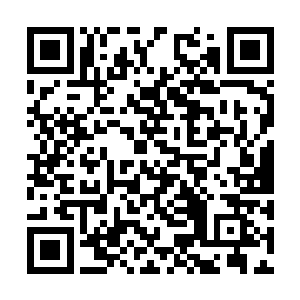 想起的却是我独自一人待在蛮荒星球的洞窟最深处二维码生成