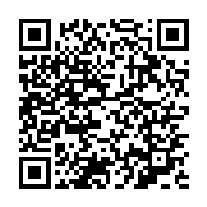 想起襄儿哭成花猫一样的小脸和老祖宗焦急震怒的表情二维码生成