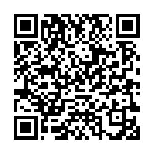 想起那日在连家大宅的院子里阿肆对自己说的那番话二维码生成