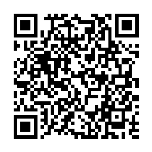 想趁那两道火光还没来得及变成九阶火灵兽之前离开山洞二维码生成