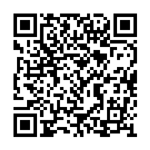 想配合我在明年的父皇寿辰庆典上演一出戏……二维码生成