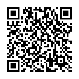 惹得李菁菁和差院长等几个孤儿院工作人员咯咯欢笑二维码生成