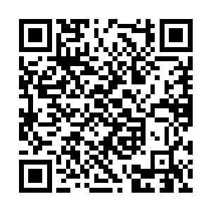 意味深长的看了一眼走廊尽头一脸不高兴的徐娇娇二维码生成