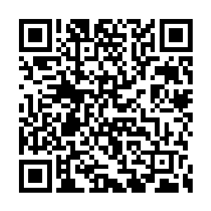 意味着这一年里你就像拥有了无所不能的作弊器二维码生成