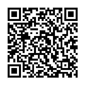 意大利之行更像是掩盖他从华国来到中亚地区的踪迹二维码生成