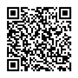 意大利獒犬最大的特点就是会吃掉被自己杀死的猎物二维码生成