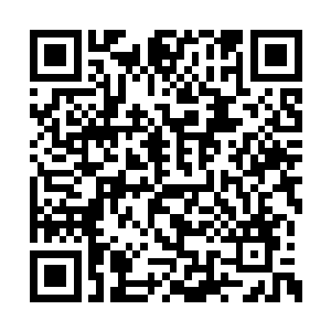 意念发出召集炸碎的五行水兽身体构成的水元素二维码生成