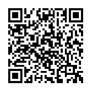 意识中却又有着一丝属于大能特有的骄傲与顽强二维码生成