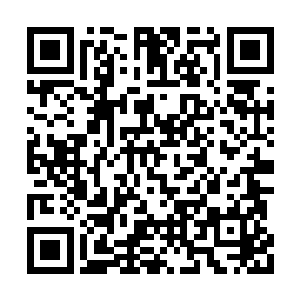 意识到一切都是徒劳的六耳猕猴最终停下了动作二维码生成