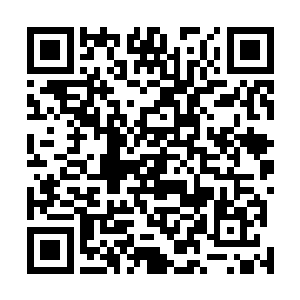 意识到自己现在在阿森纳连稳定的主力都还没打上呢……二维码生成