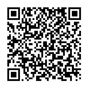 感受了一下整个洞中只有正中央应该是禅蛇蛋的位置上有几丝微弱的生命气息二维码生成